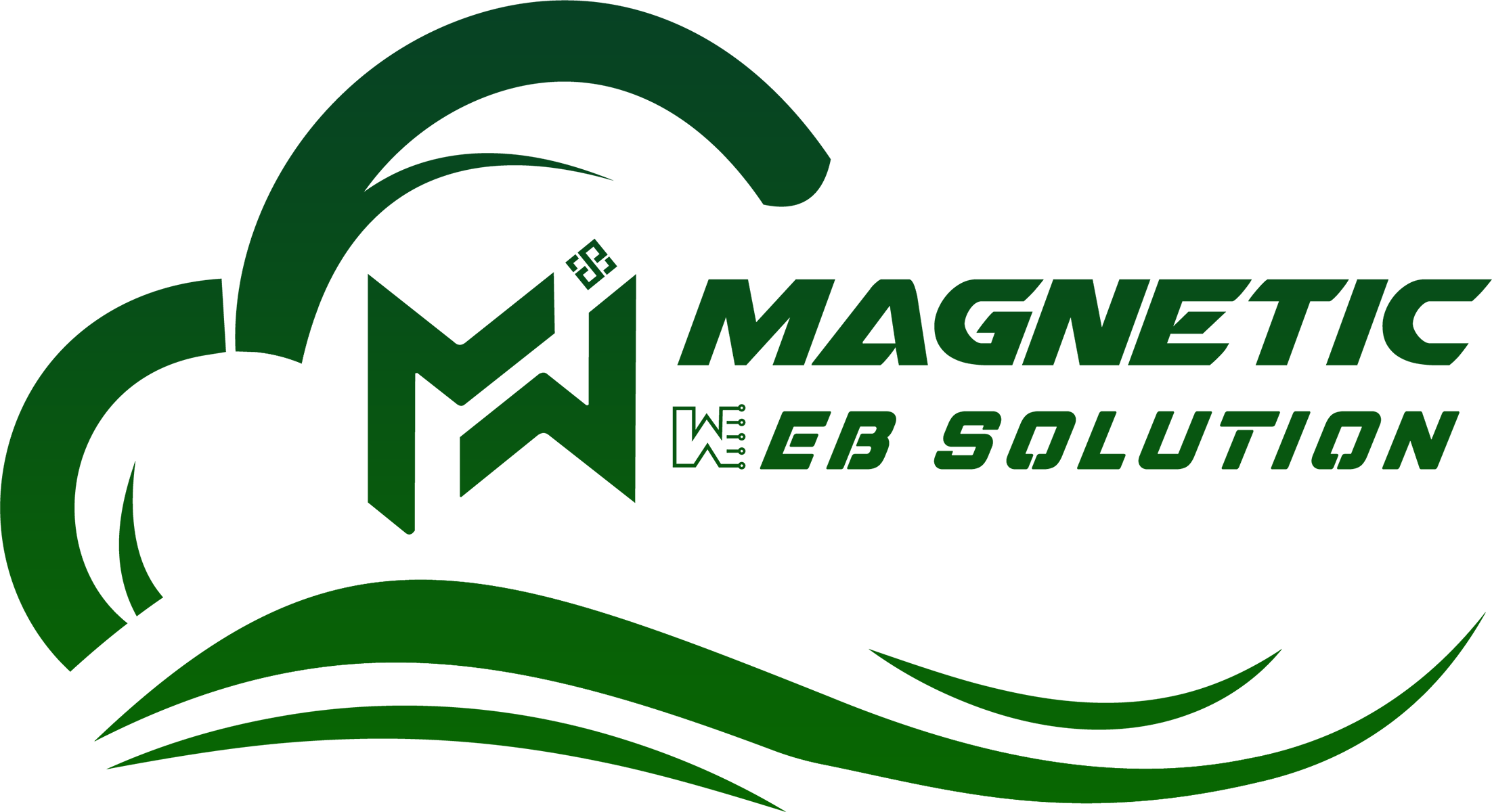 Magnetic Web Solution LLC
