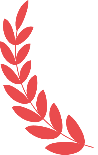 Magnetic Web Solution